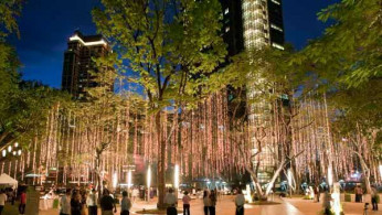 Ayala Triangle Gardens at Night