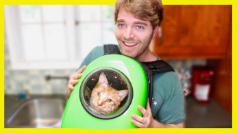 Shane Dawson