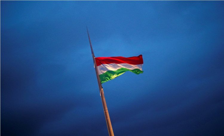 Hungarian flag
