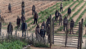 The Walking Dead