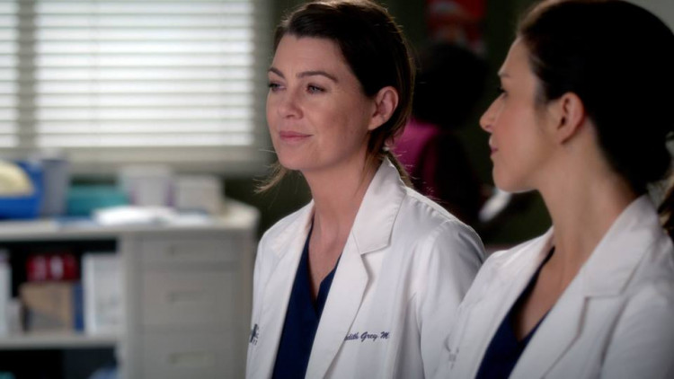 Grey's Anatomy Season 15