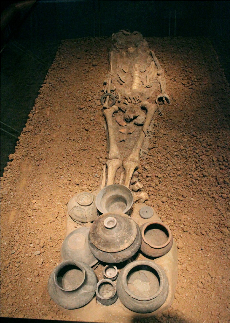 Chinese cultural relics