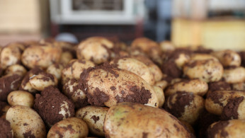 World War I Grenade Found In French Potato Shipment To Hong Kong Chips Factory
