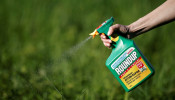 Monsanto Roundup Lawsuit