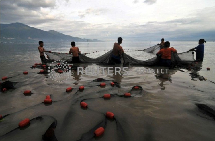 Indonesia fisheries