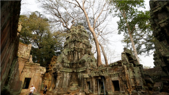 Cambodia Ta Prohm