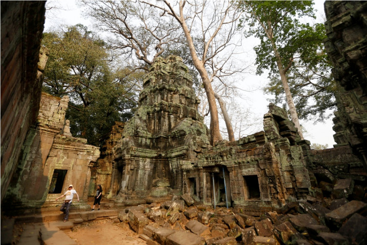 Cambodia Ta Prohm