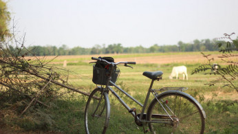 The late King Norodom Sihanouk made Kirirom National Park as an exclusive royal retreat for Cambodia's elite. 