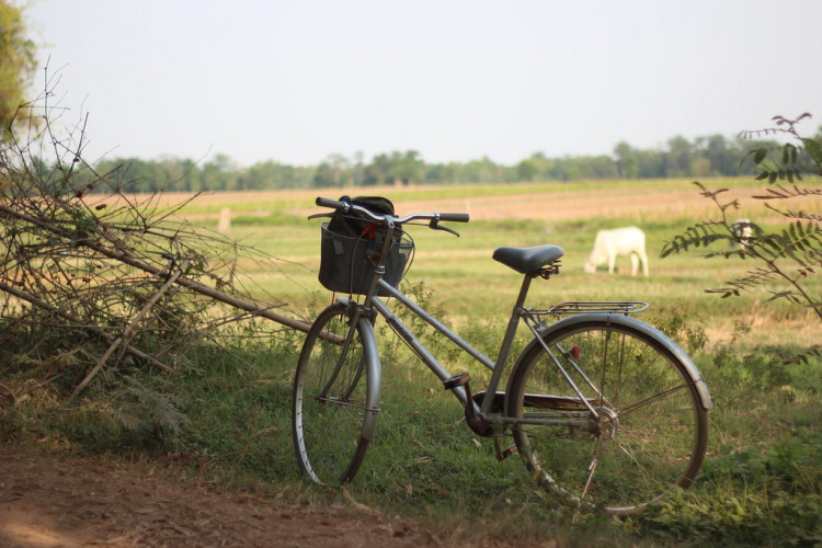 The late King Norodom Sihanouk made Kirirom National Park as an exclusive royal retreat for Cambodia's elite. 