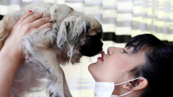 China Pet Industry