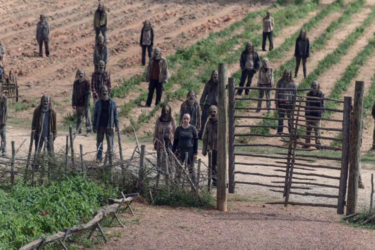 The Walking Dead 