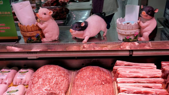 China Pork Industry