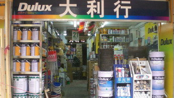 Dulux Paint