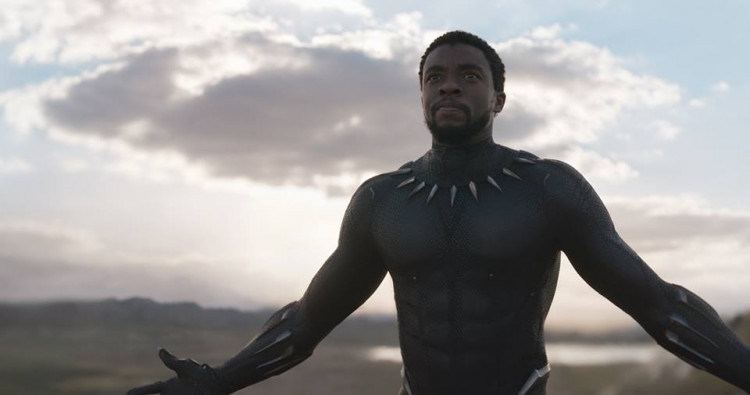 MCU's Phase 4 is about to start, and it will include the confirmed "Black Panther 2." 