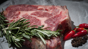 Steak With Raw Meat and Herbs