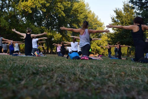 Women performing yoga on green grass near trees