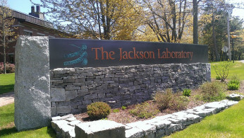 Jackson Laboratory