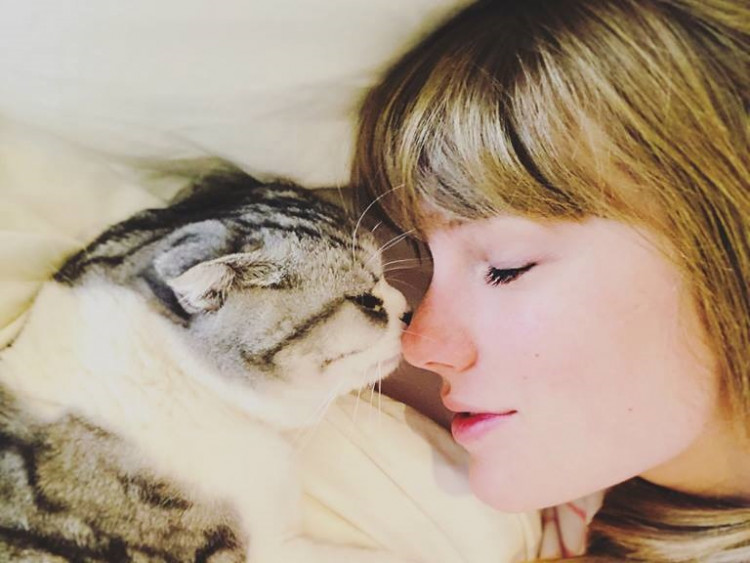 Taylor Swift