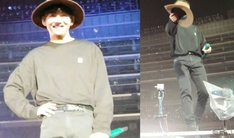 What did the fan do for V to notice him?