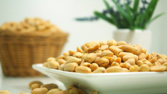 Photography of Peanuts