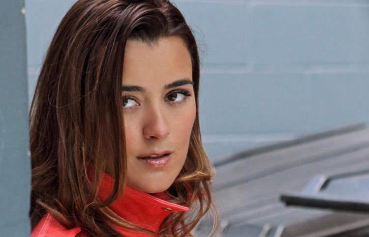 Ziva would still be seen in "NCIS" Season 17 premiere.