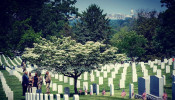 Melania and Donald Trump drop by Arlington National Cemetery Thursday to pay respects, prior to their state visit to Japan.