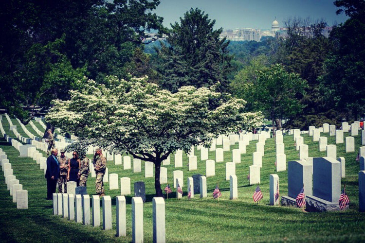 Melania and Donald Trump drop by Arlington National Cemetery Thursday to pay respects, prior to their state visit to Japan.