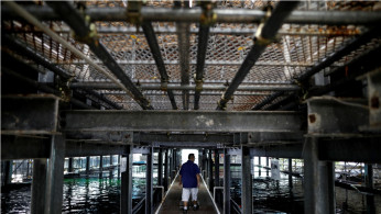 Vertical fish farms