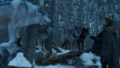 The final season could have been more epic if the direwolves's battle against the undead Viserion made it on screen. 