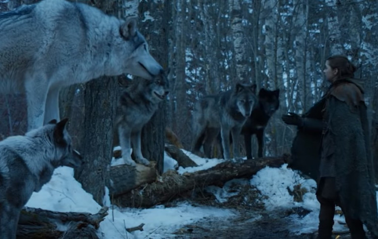 The final season could have been more epic if the direwolves's battle against the undead Viserion made it on screen. 