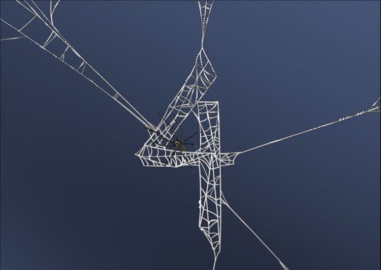 Spider-Man 4