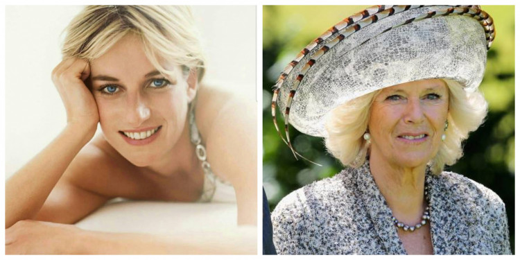 Princess Diana and Camilla Duchess of Cornwall Actually Blood Relatives