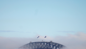 The Sydney Harbour Bridge is shrouded by fog in Australia
