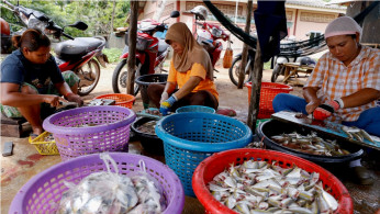 Thailand fish sellers
