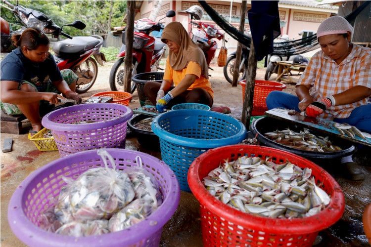 Thailand fish sellers