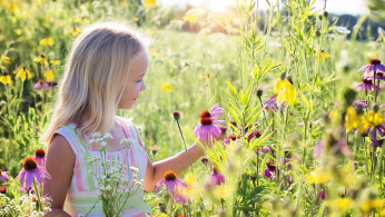 Exposure To Green Space Has 'Specific Cognitive' Benefits For Kids