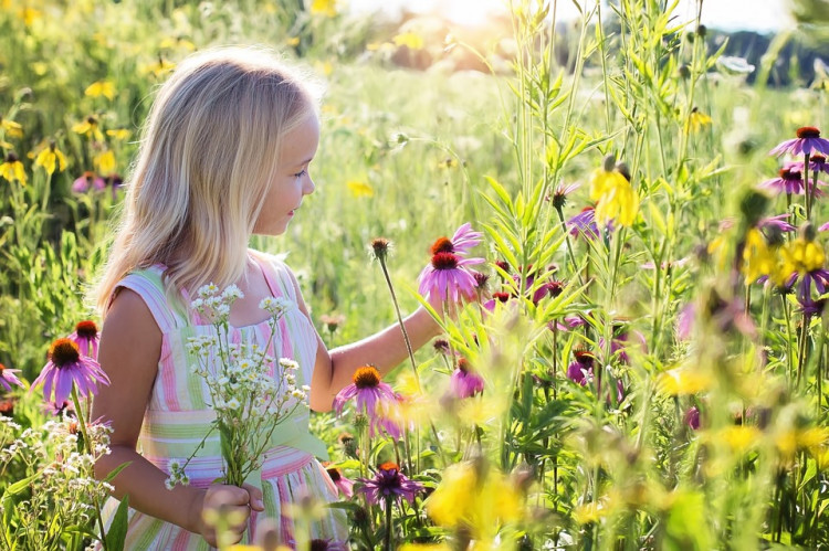 Exposure To Green Space Has 'Specific Cognitive' Benefits For Kids