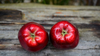 Two red apples on gray wooden surface.