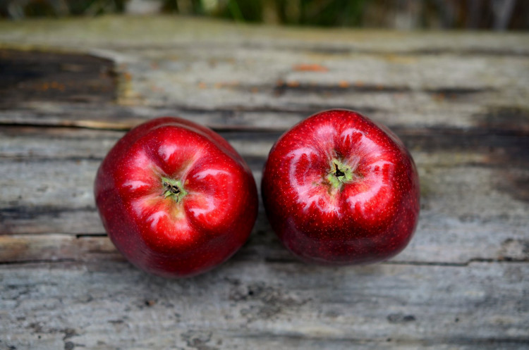 Two red apples on gray wooden surface.