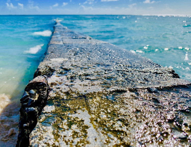 Concrete barrier in the sea.