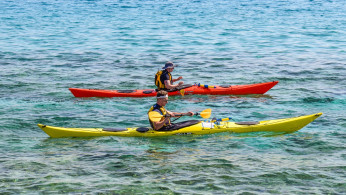 Red and green kayaks.