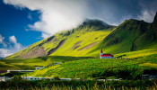 Green field in Iceland during daytime.