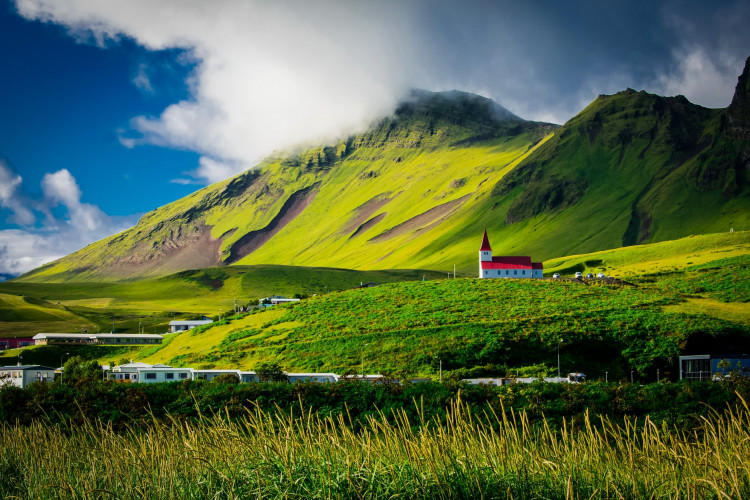 Green field in Iceland during daytime.