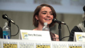 HBO seems to have no plans to continue Arya's journey,  but Maisie Williams is open to doing it if this happens.