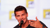 David Boreanaz