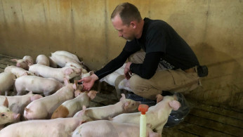 US Hog Industry
