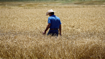 US Agricultural Industry