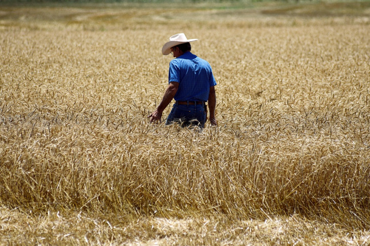US Agricultural Industry
