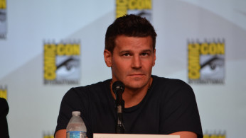 David Boreanaz