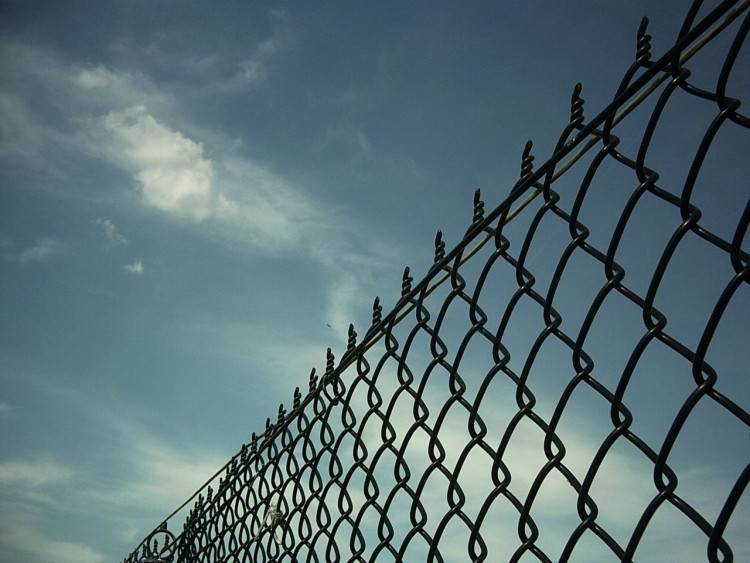 Fans will once again see the inmates of Wentworth Detention Centre in "Wentworth" Season 8. 